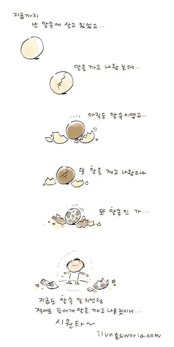 사용자 삽입 이미지
