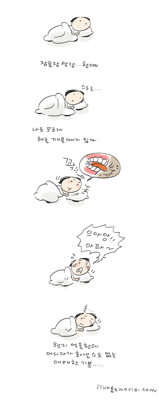 사용자 삽입 이미지