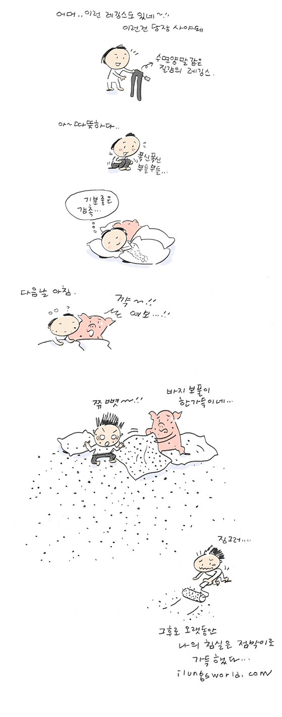 사용자 삽입 이미지