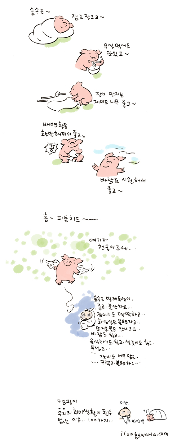 사용자 삽입 이미지
