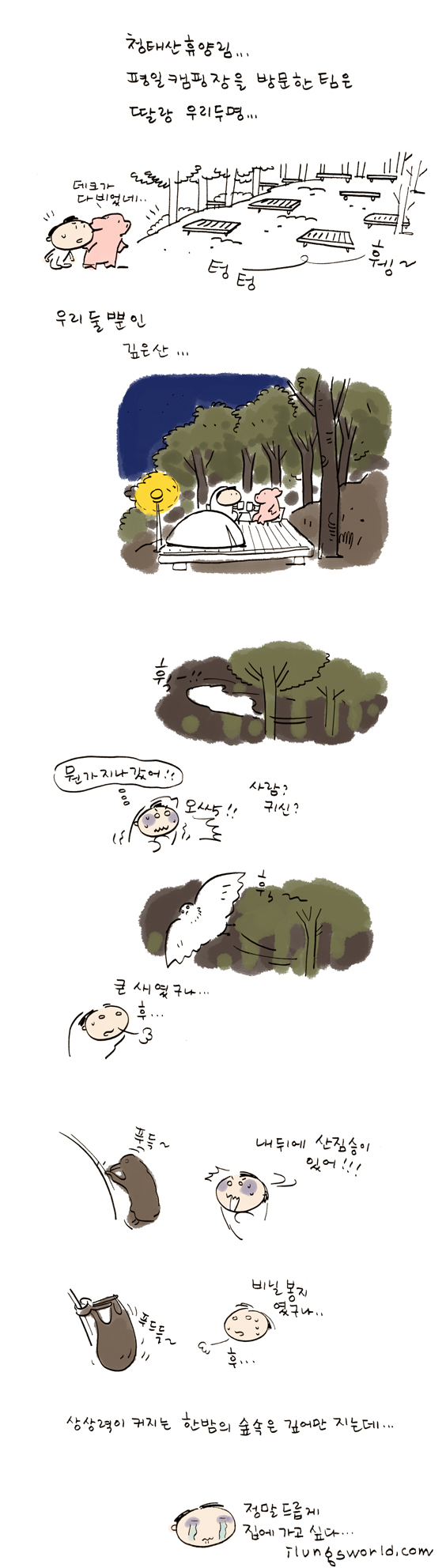 사용자 삽입 이미지