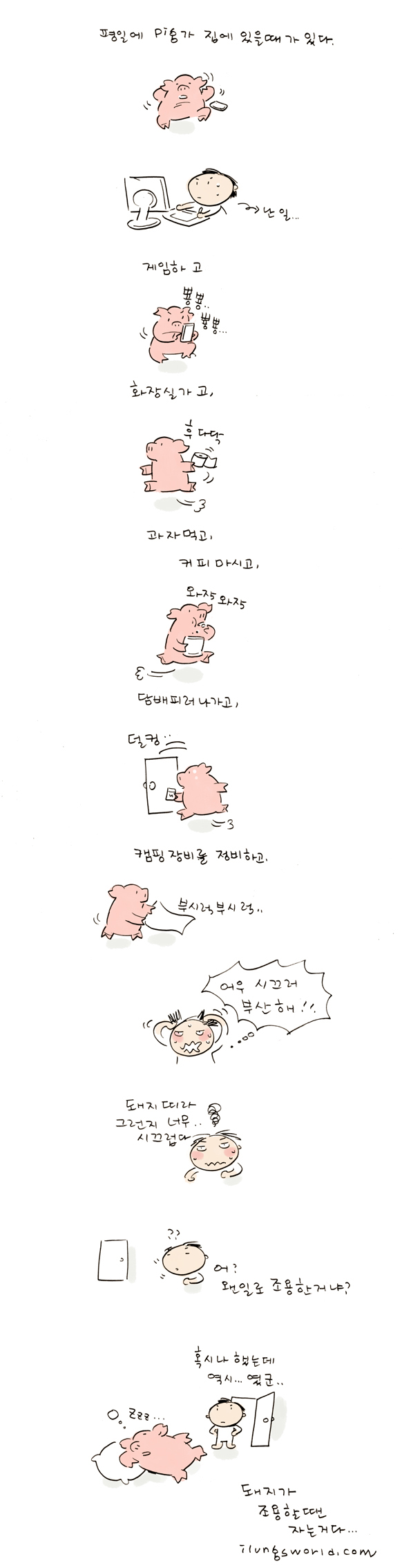사용자 삽입 이미지